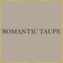 PTMD ROMANTIC TAUPE muur/meubelverf