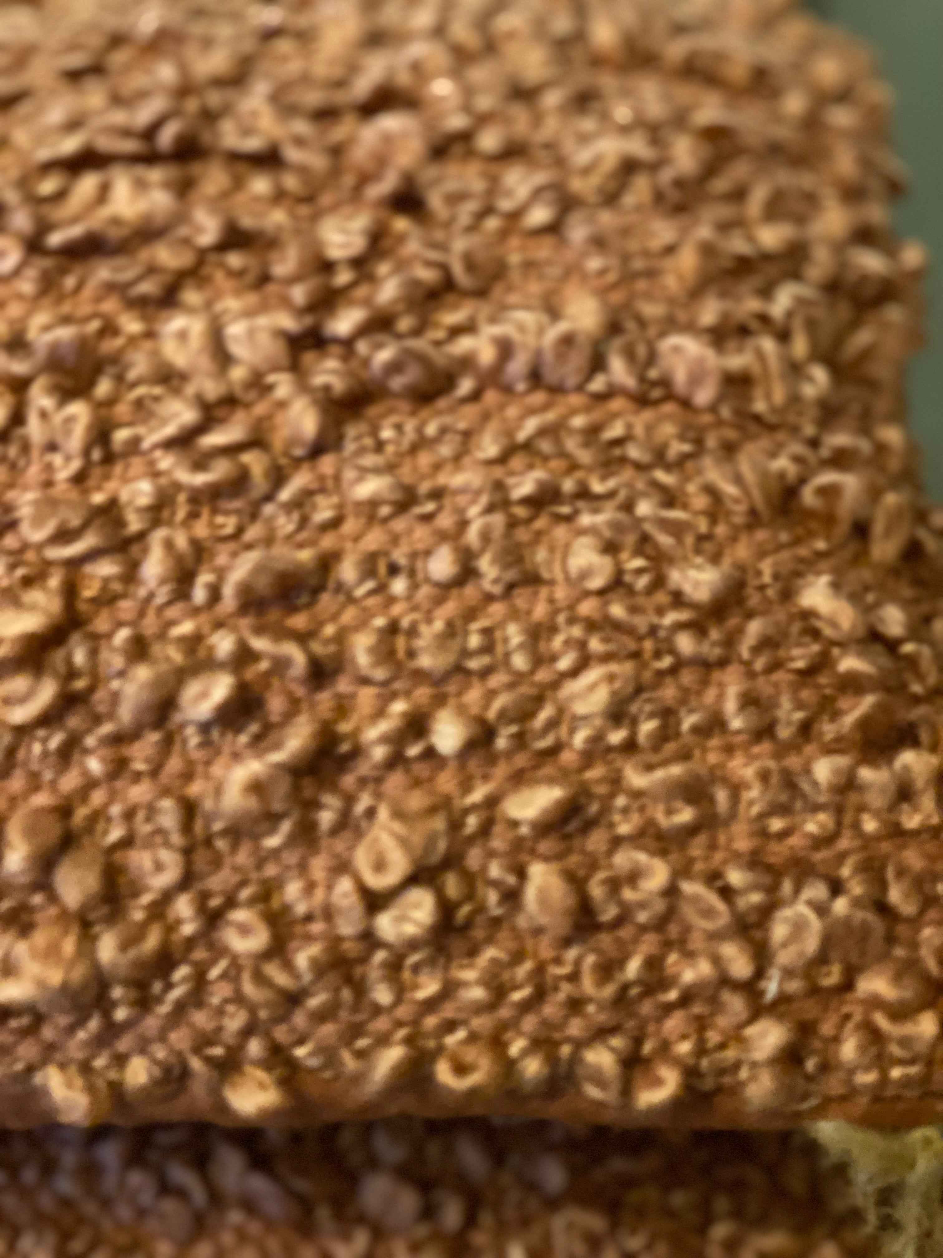 Kussen boucle terra 60x30 cm