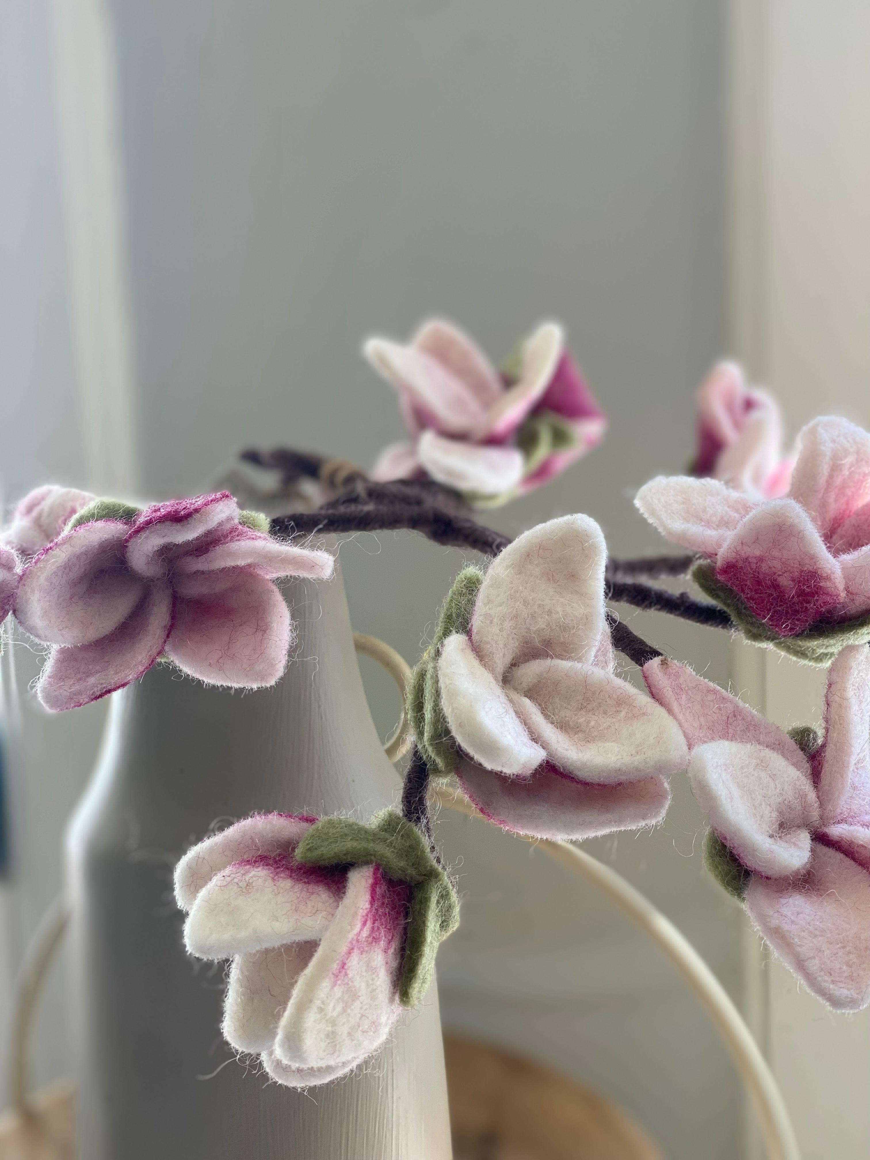 Magnolia tak wolvilt