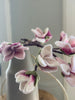 Magnolia tak wolvilt