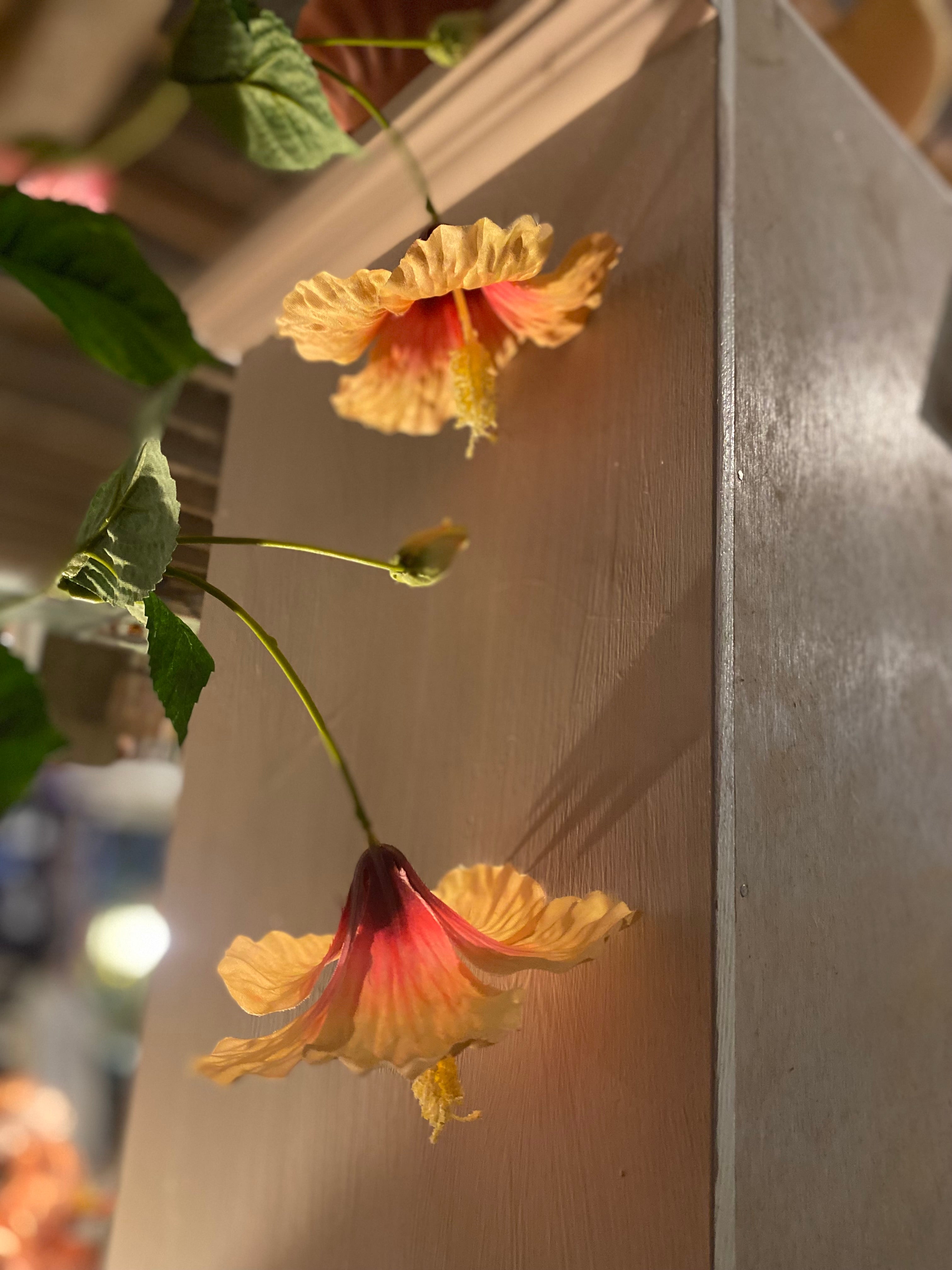 Hibiscus zalm roze zijde