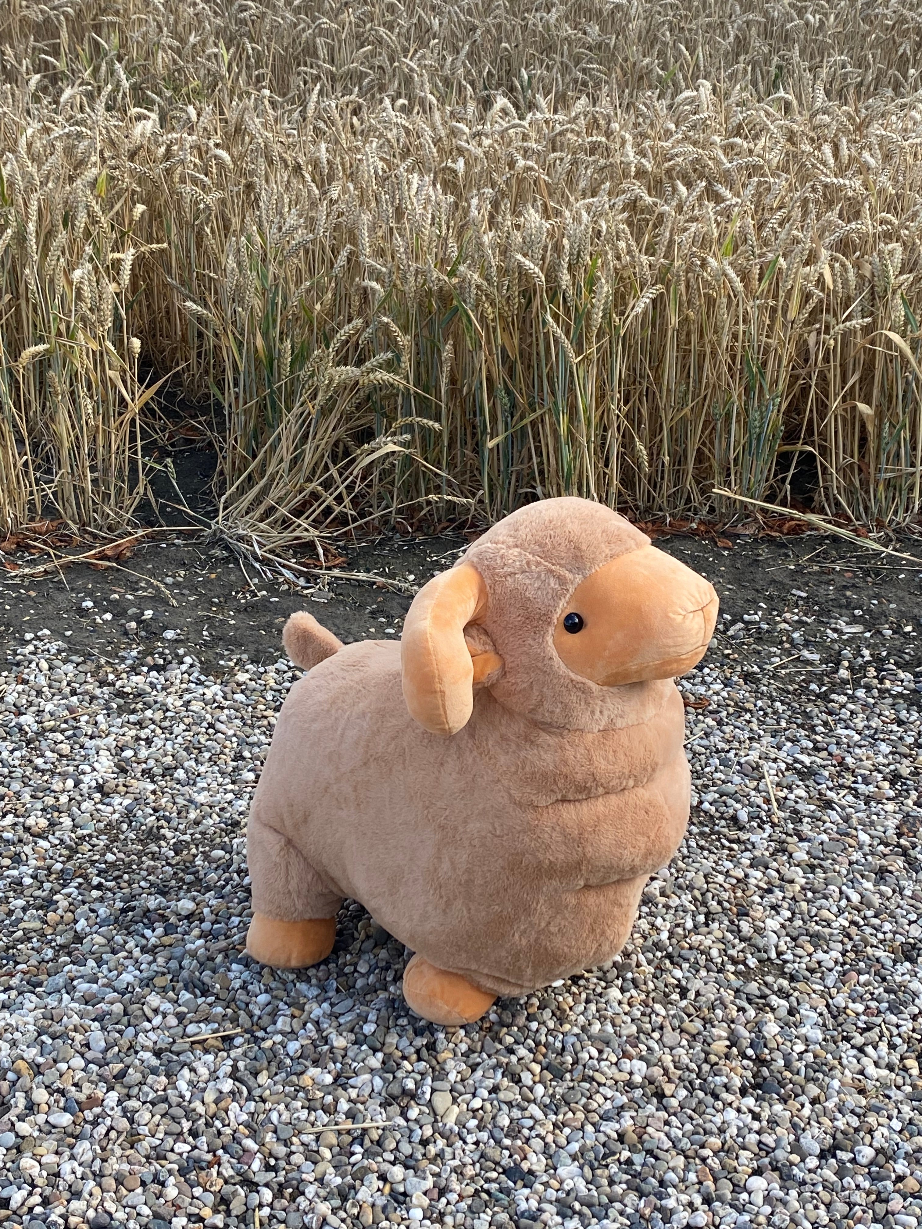 Pluche xl 🐏 Ram