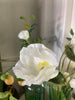 Witte papaver bloem zijde