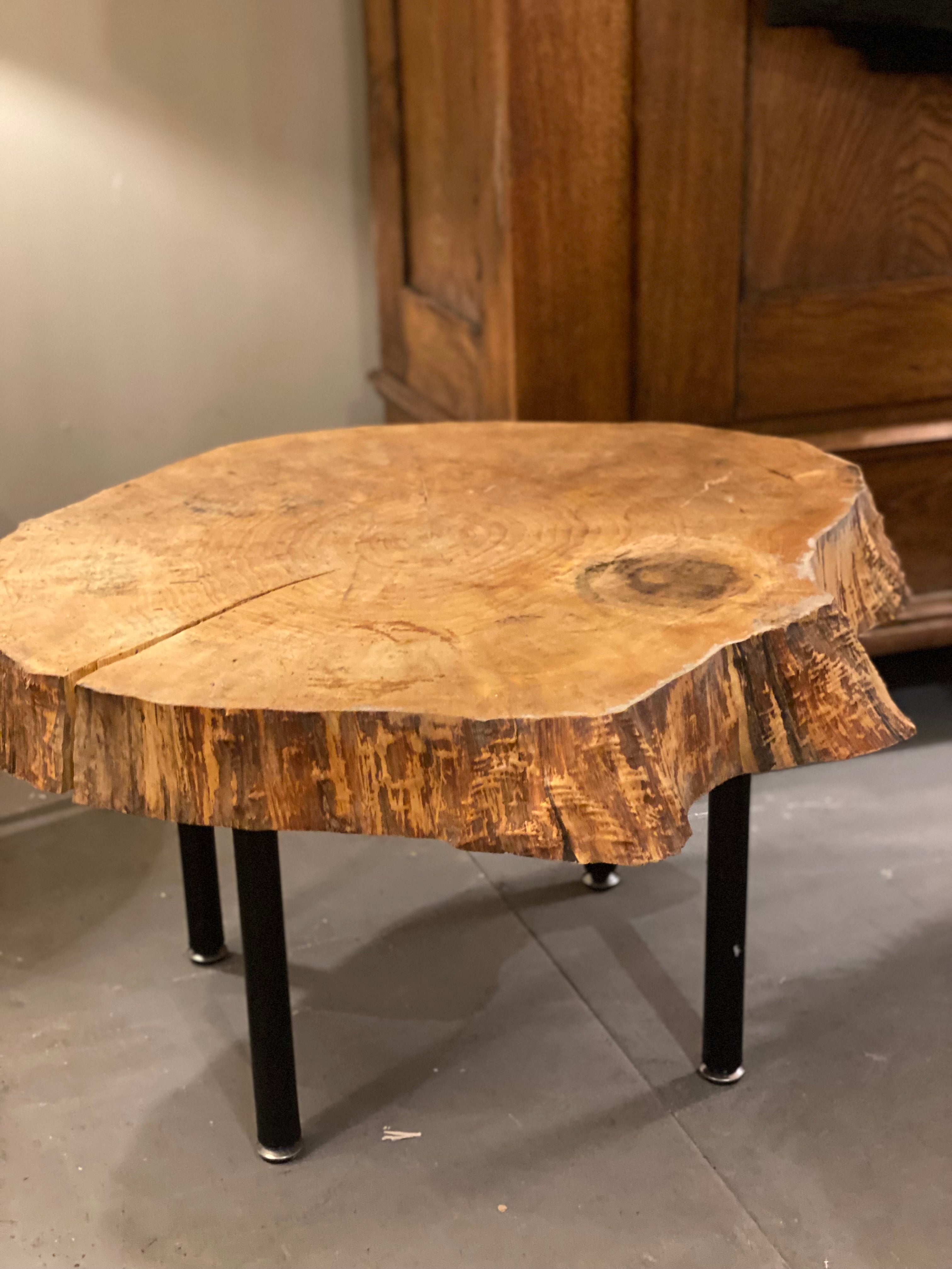 Boomstam salontafel