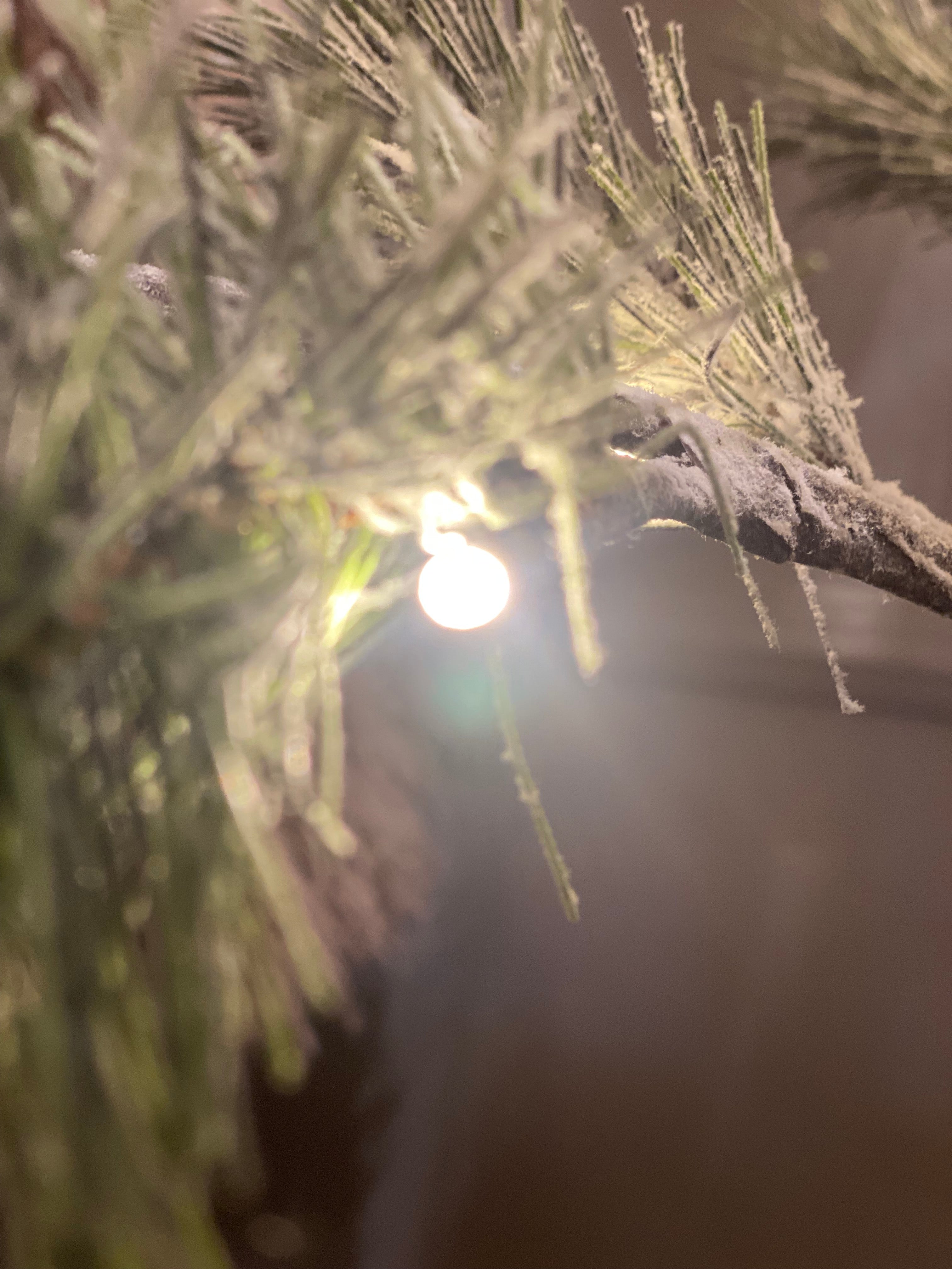 Dennenboom met sneeuw 69 Led lampjes