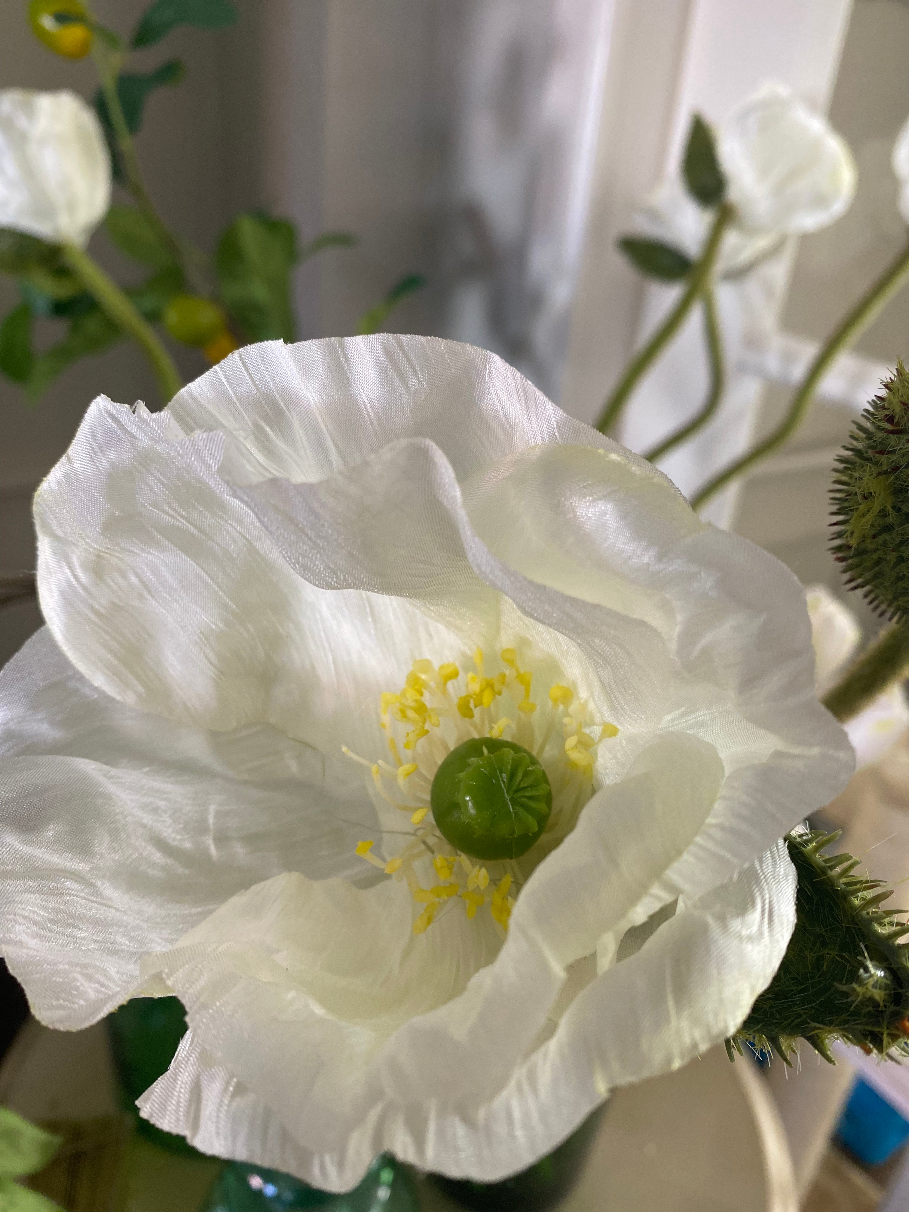 Witte papaver bloem zijde