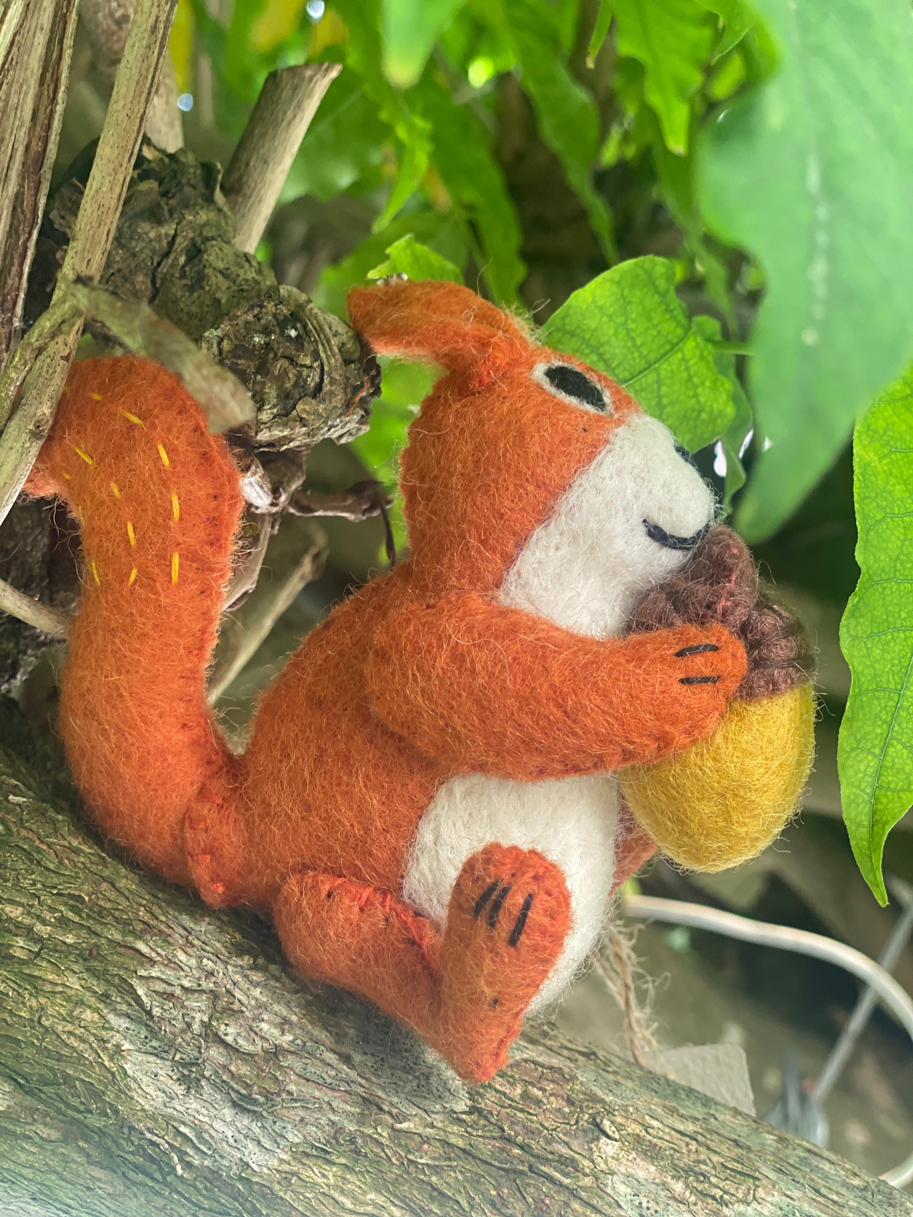 Eekhoorn 🐿️ van wolvilt