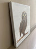 Schilderij uil